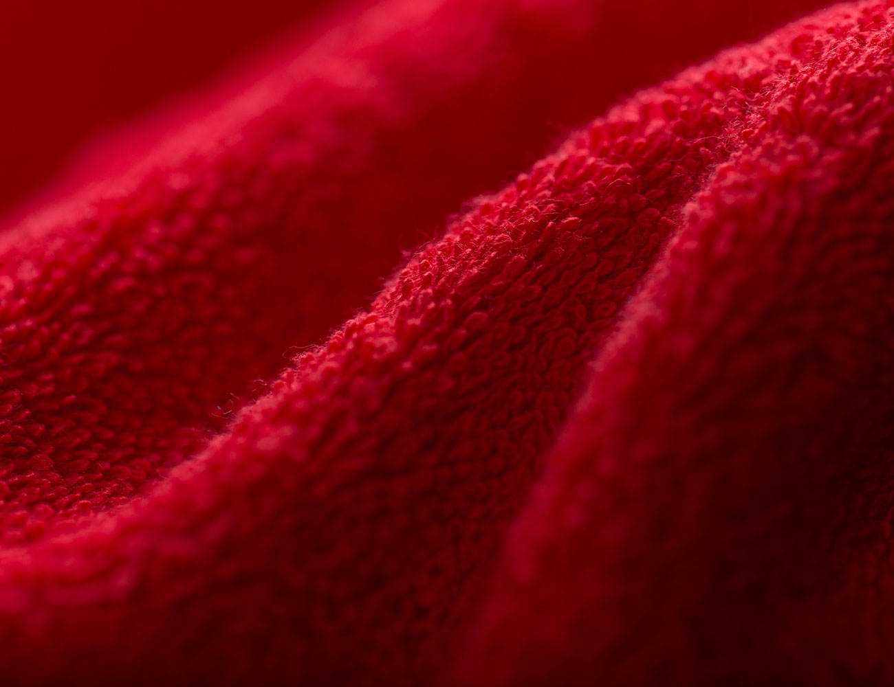 Delfina steht für Frottier