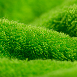 Showroom-Tücher-Bandeo